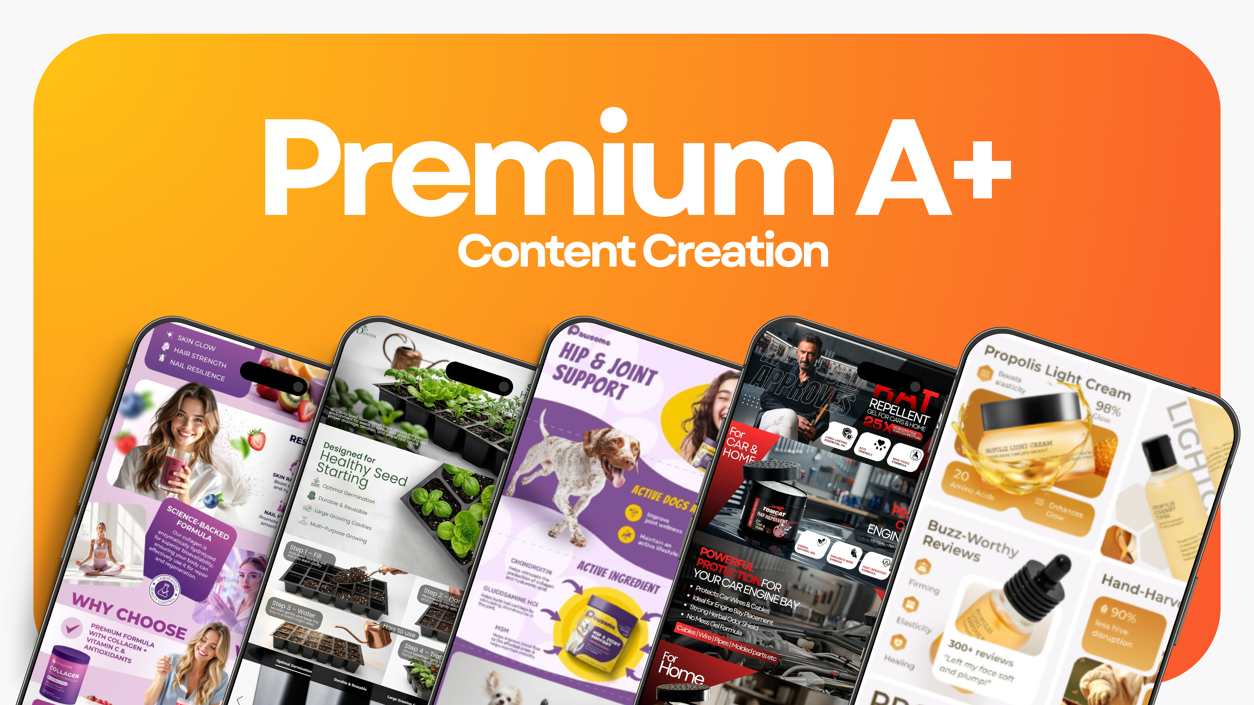 Premium A plus content samples for Amazon product detail pages